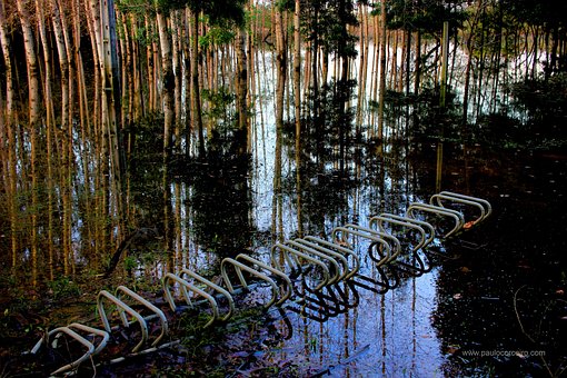 Free Reflex Reflection photo and picture