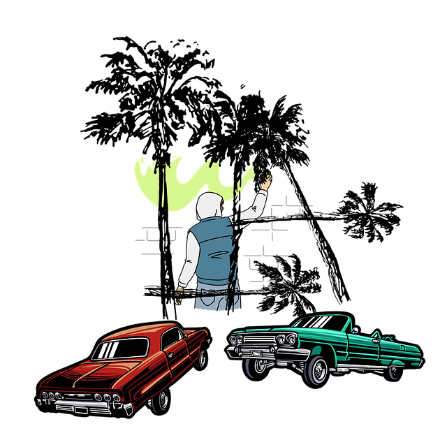 Califórnia, Clássico, Tropical, Lowrider