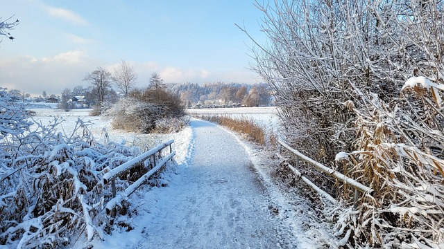 Brücke, Winter, Landschaft, Schnee