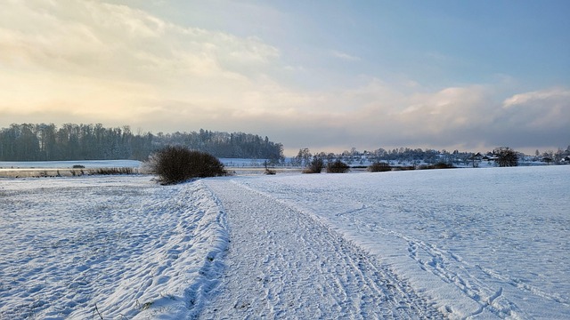 See, Weg, Kalt, Winter, Natur