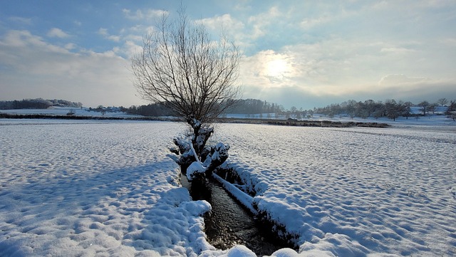 Winter, Schnee, Sonne, Landschaft