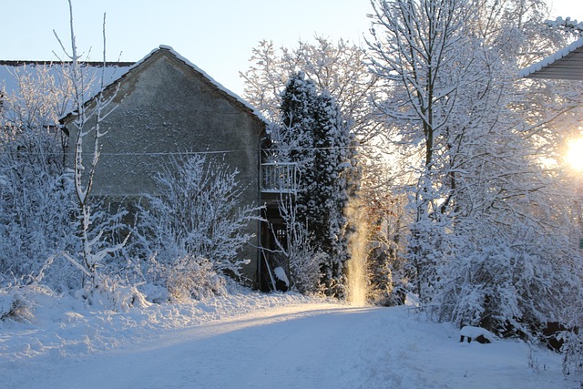 Vinter, Sne, Sollys, I Morgen