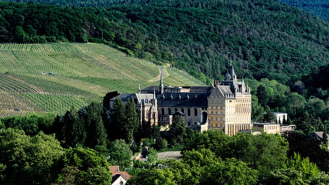 Free Vineyards Monastery photo and picture