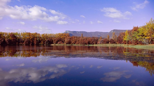 Озеро, Лес, Пейзаж, Природа