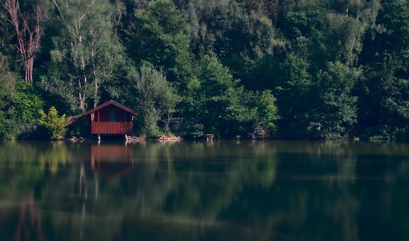 Lago, Bosque, Árboles, Cabaña, Paisaje
