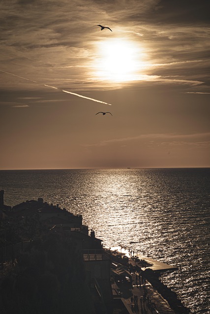 La Sombra, Atardecer, Gaviotas, Mar