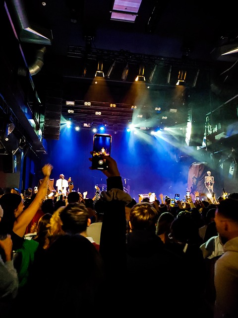 Free Freizeit Festival photo and picture