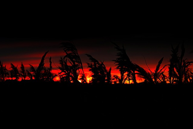 Free Night Sunset photo and picture