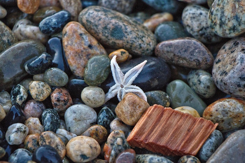 Rocks Pebbles Starfish - Free photo on Pixabay
