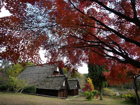 Free Natural Japan photo and picture