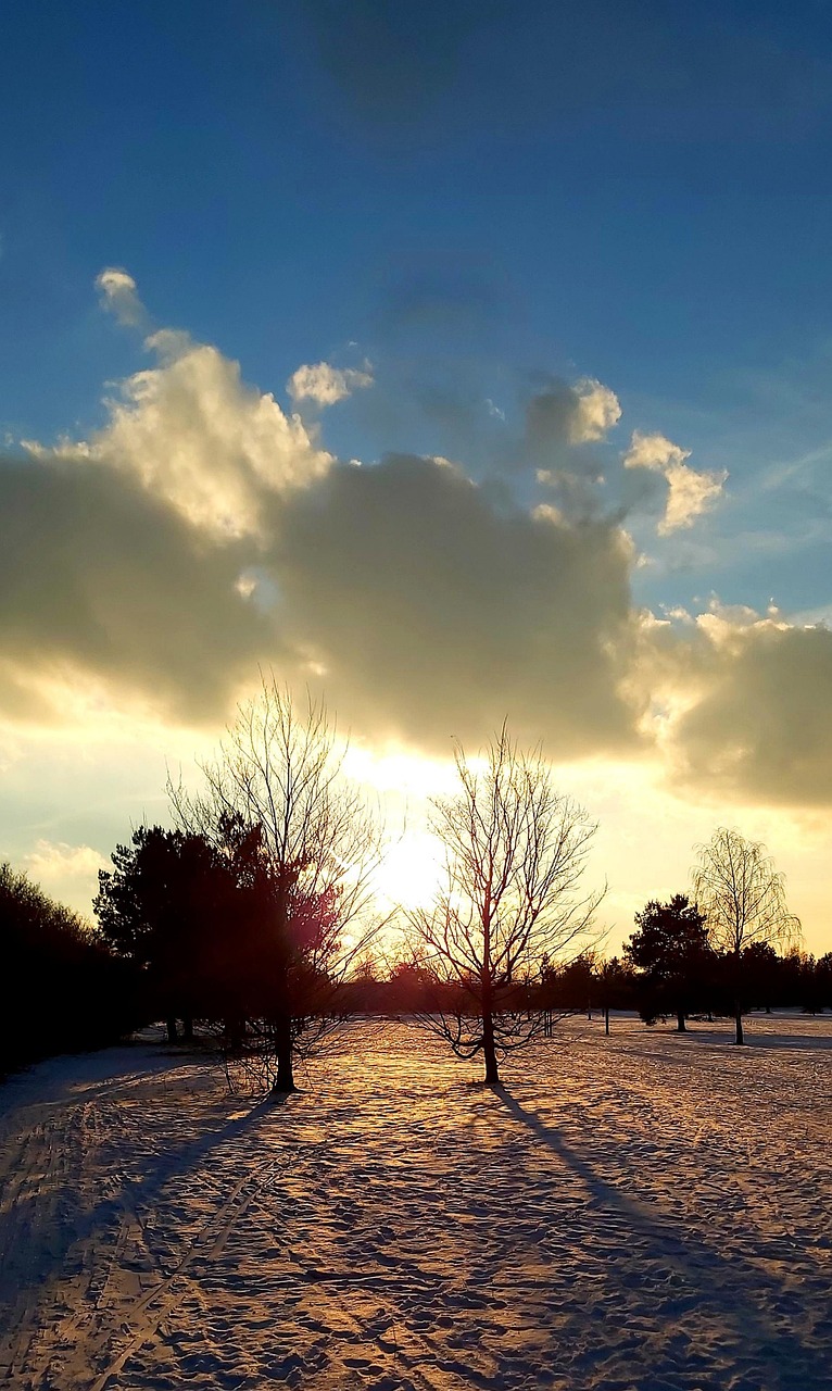 冬天 雪 - Pixabay上的免费照片 - Pixabay