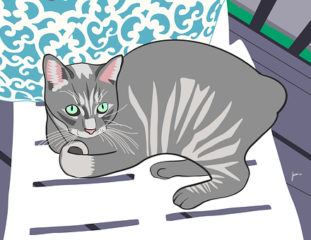 Katze, Außerhalb, Stuhl, Kätzchen