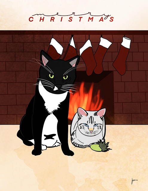 Katze, Tiger, Katzen, Tier, Weihnachten
