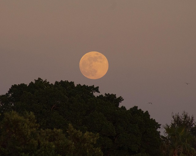 Mond, Mondaufgang, Vollmond, Dämmerung