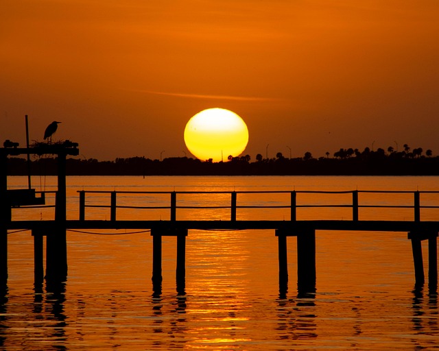 Sonne, Sonnenuntergang, Wasser, Reiher