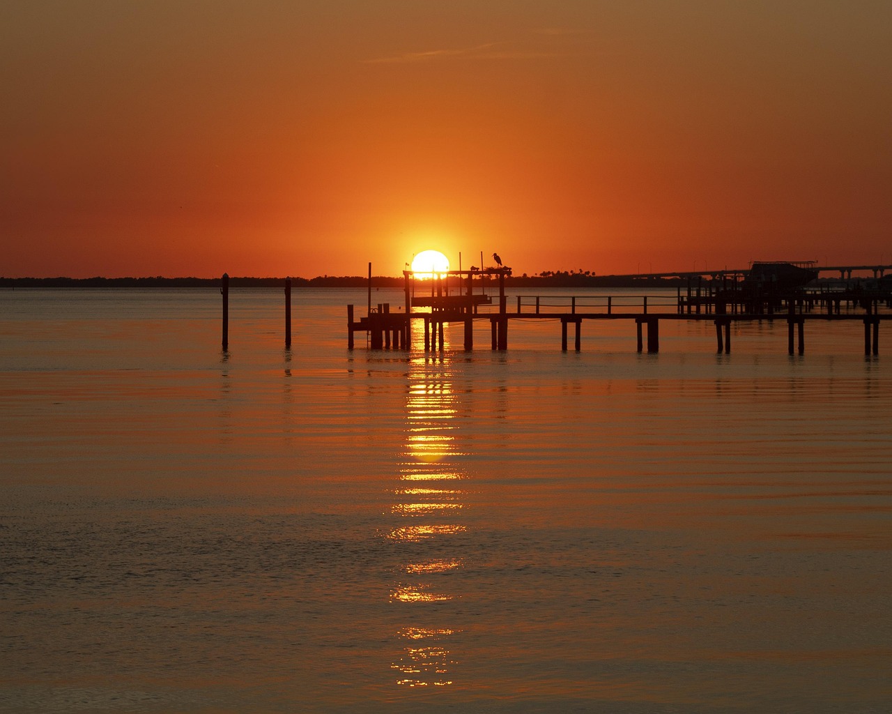 90+ Free Tampa & Tampa Bay