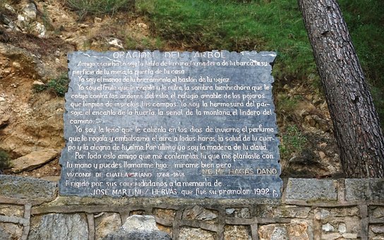 Rugăciune, Copac, Natură, Poezie, Pădure