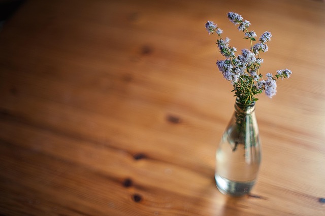 plant, bottle, vase, apartment, flower vase, nature, desk, table, close up