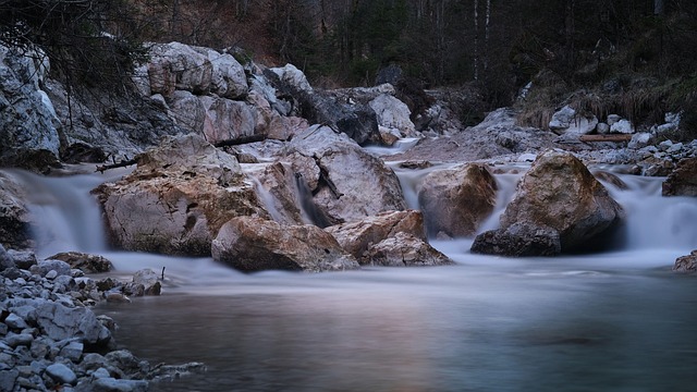 Free Bach Stream photo and picture