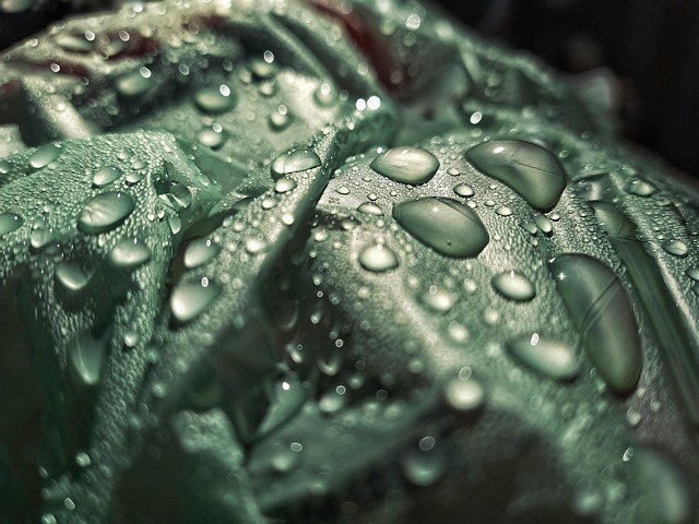 Free Wet Rain photo and picture
