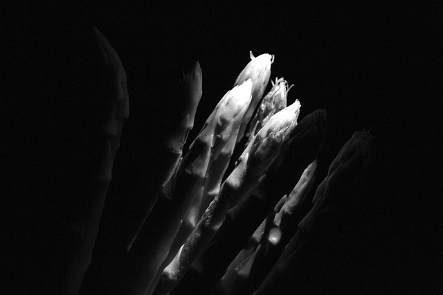 Free Asparagus Light photo and picture