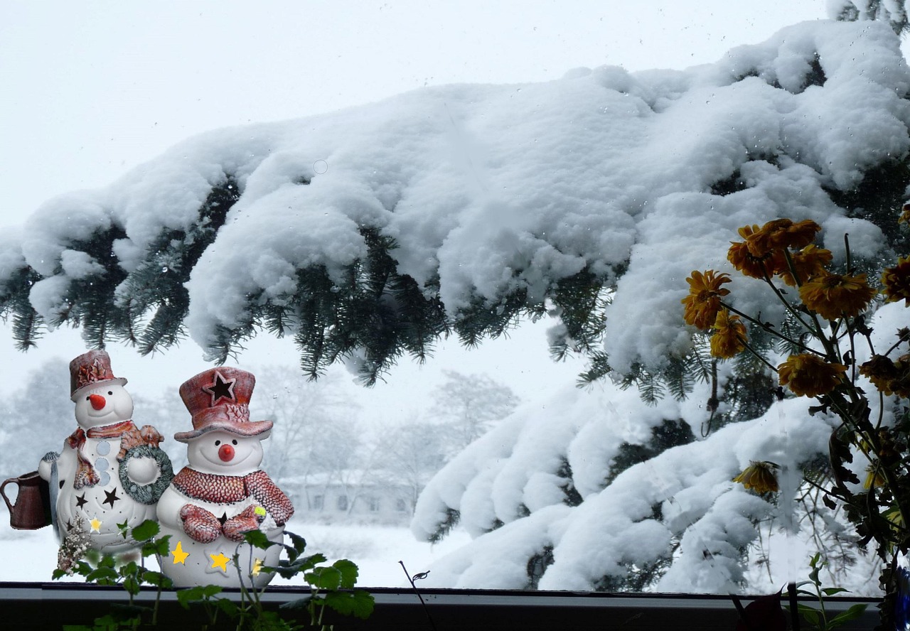 冬天 雪 窗户 - Pixabay上的免费照片 - Pixabay
