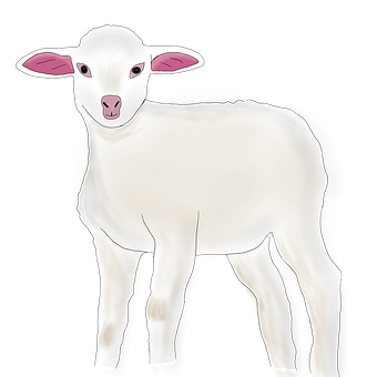 Ovelha, Cabra, Ram, Animal, Tup
