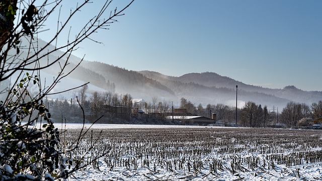 寒い 霧 雪 - Pixabayの無料写真 - Pixabay