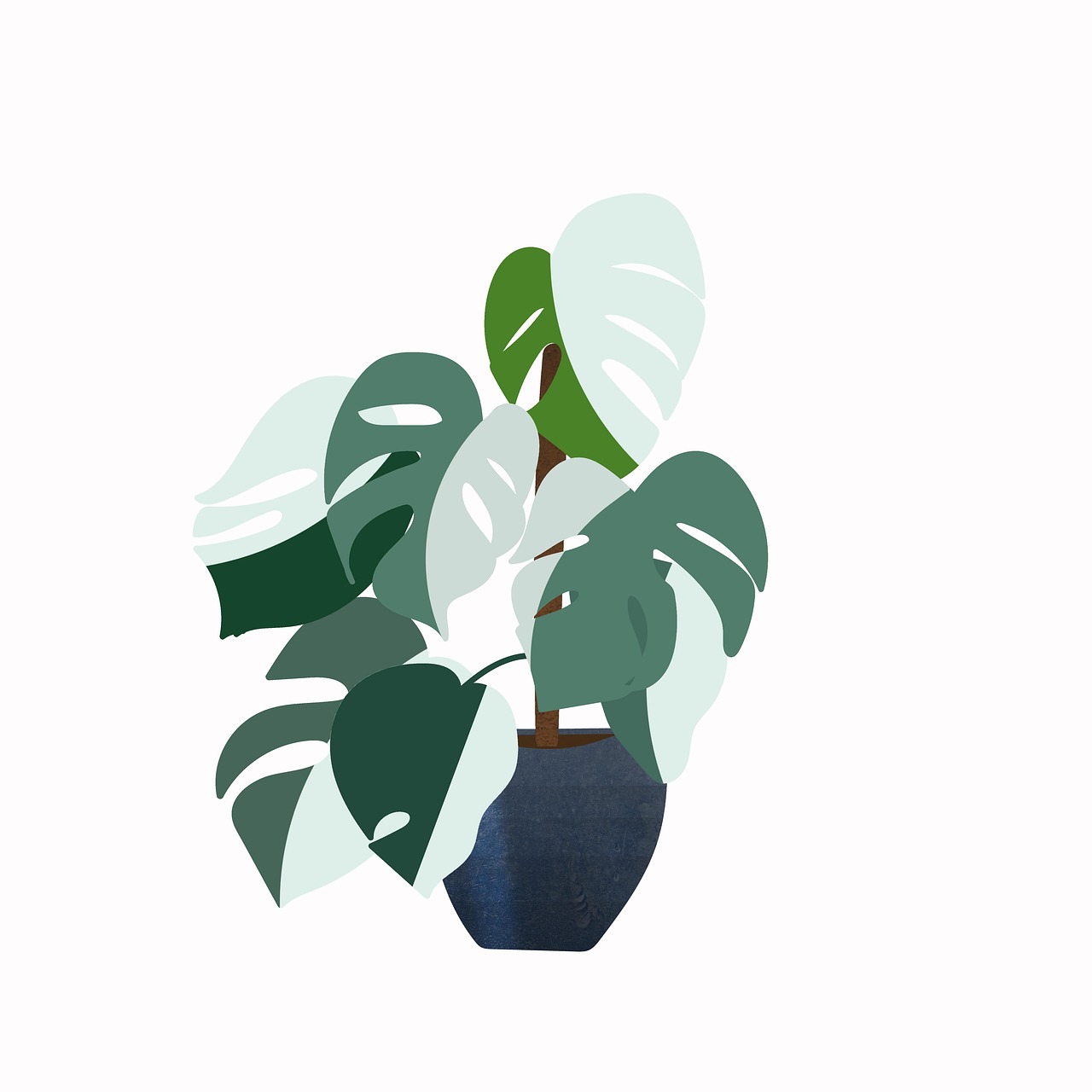 Monstera Pflanze Hintergrund Kostenloses Bild Auf Pixabay Pixabay