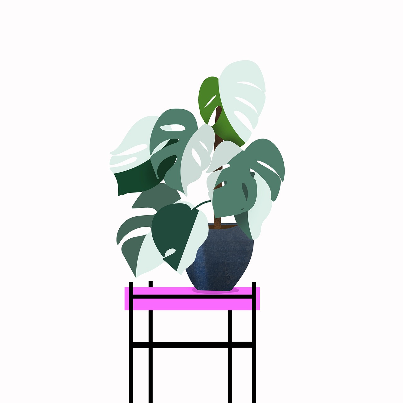 Monstera Pflanze Hintergrund Kostenloses Bild Auf Pixabay