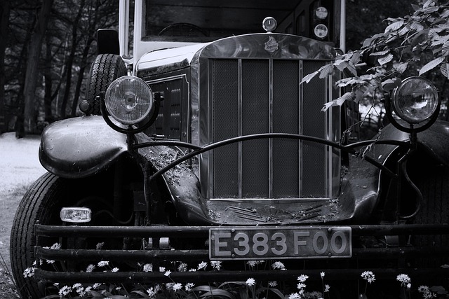 Free Car Vehicle photo and picture