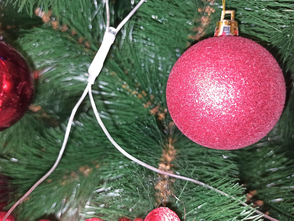 New Year Christmas Spruce - Free photo on Pixabay - Pixabay