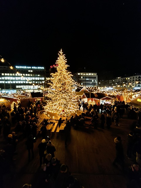 Free Christmas Light photo and picture