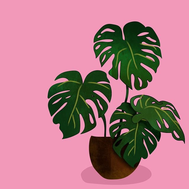 Free plant drawing botanical illustration