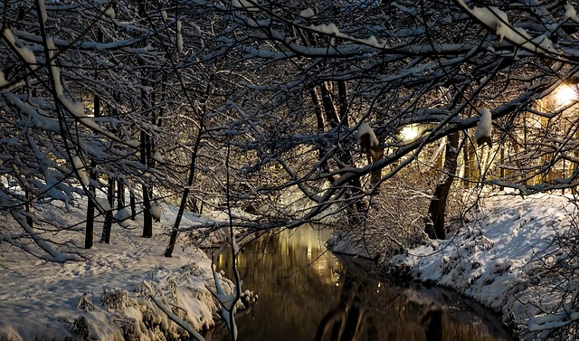 Free River Winter photo and picture