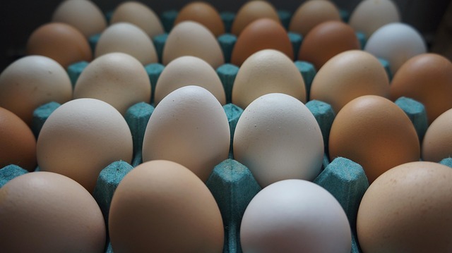 Free Eggs Food photo and picture