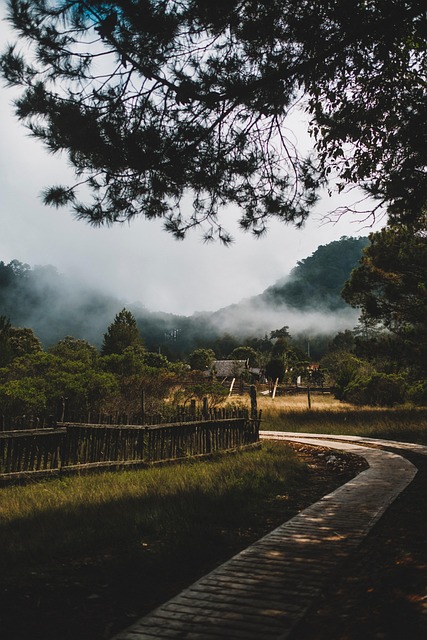 Pueblo, Naturaleza, Niebla, La Carretera
