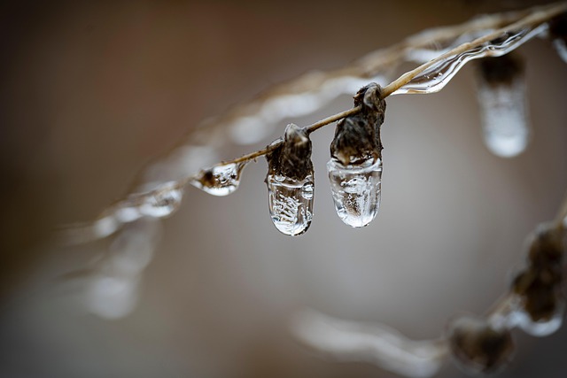 Winter, Ijspegels, Natuur, Macro