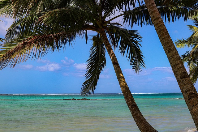 Free Samoa Tropical photo and picture