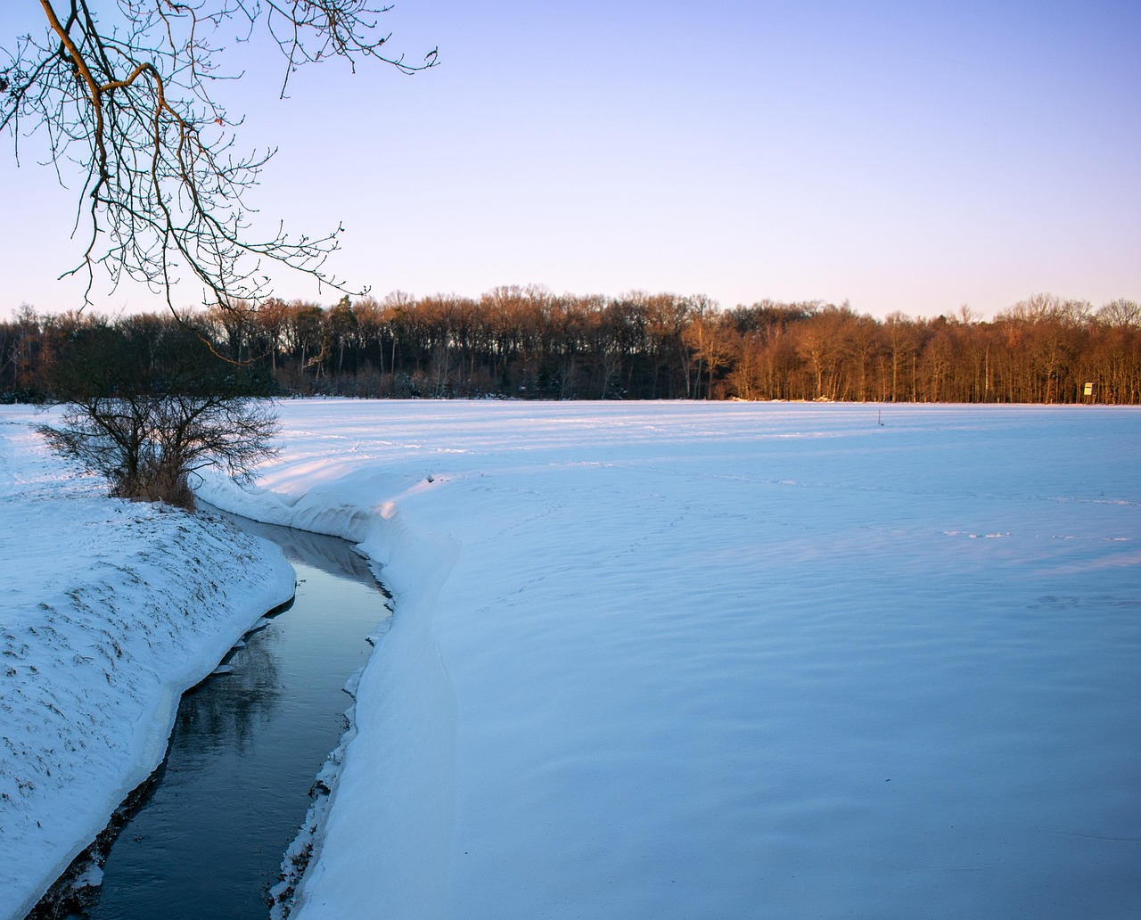 雪 冬天 景观 - Pixabay上的免费照片 - Pixabay