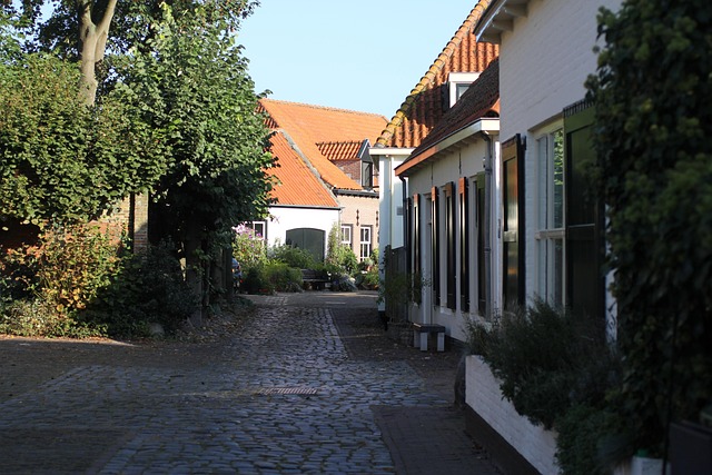 Free Rose Harderwijk photo and picture