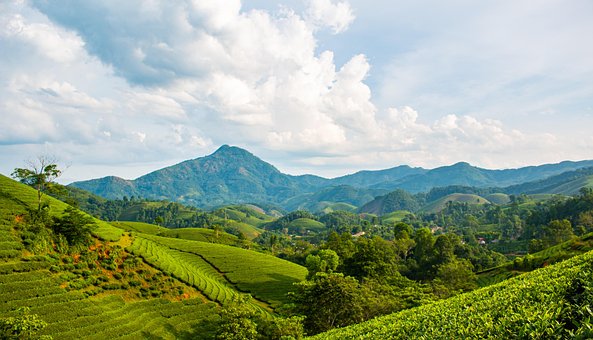 Free Landscape Nature photo and picture