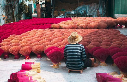 Free Life Vietnam photo and picture