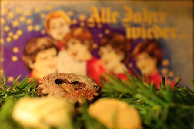Free Christmas Cookie photo and picture