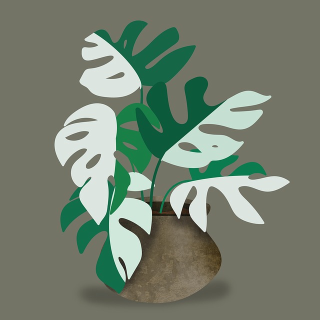 Free plant monstera bohemian illustration