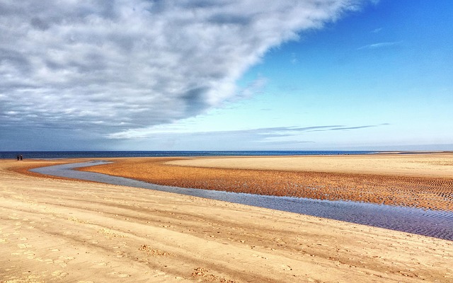 Free Beach Shape photo and picture