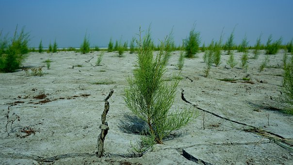 Baggrund, Vand, Himmel, Strand, Sommer