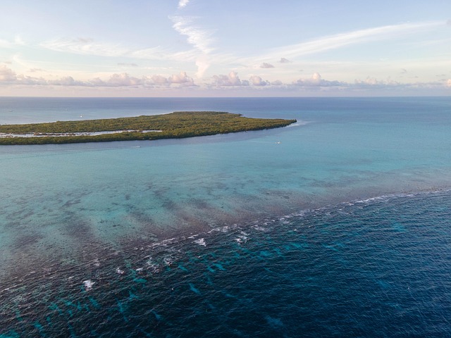 Free Lighthouse Reef Reef photo and picture