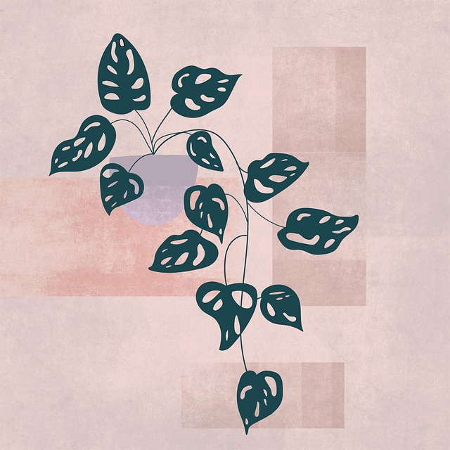 Free plant monstera holes illustration