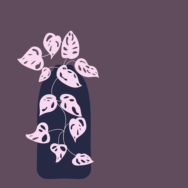 Free plant monstera holes illustration